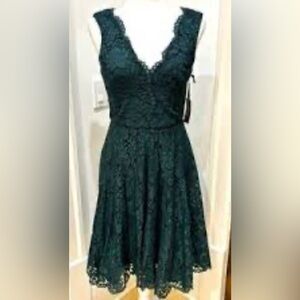 Vera Wang Emerald Green Lace Fit Flare Dress